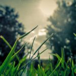 Básico Brinco Cristal