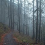 Premium Relógio Fashion