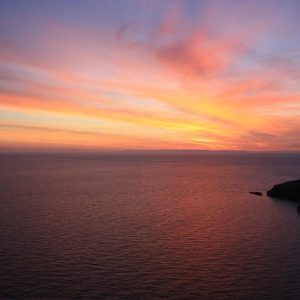 Turbo Comedouro Automático