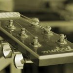 Turbo Comedouro Automático